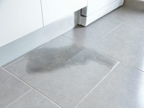 A plumbing leak in a kitchen in Flower Mound, TX